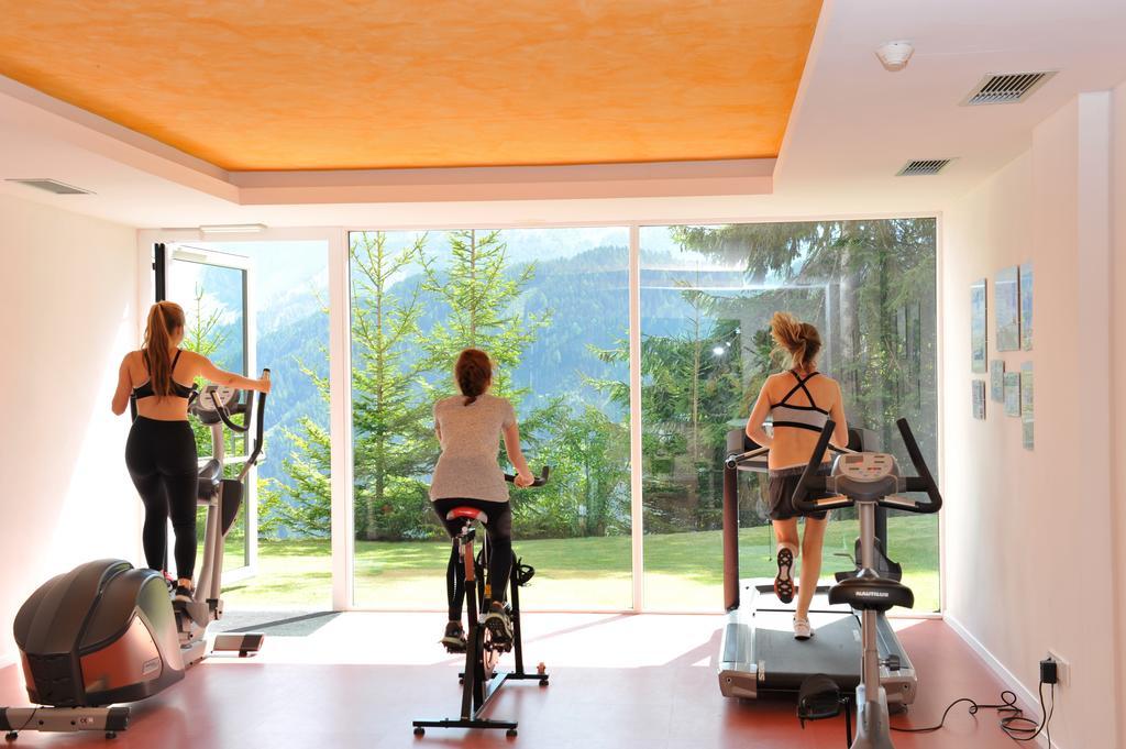 The Vista 3* Bressanone